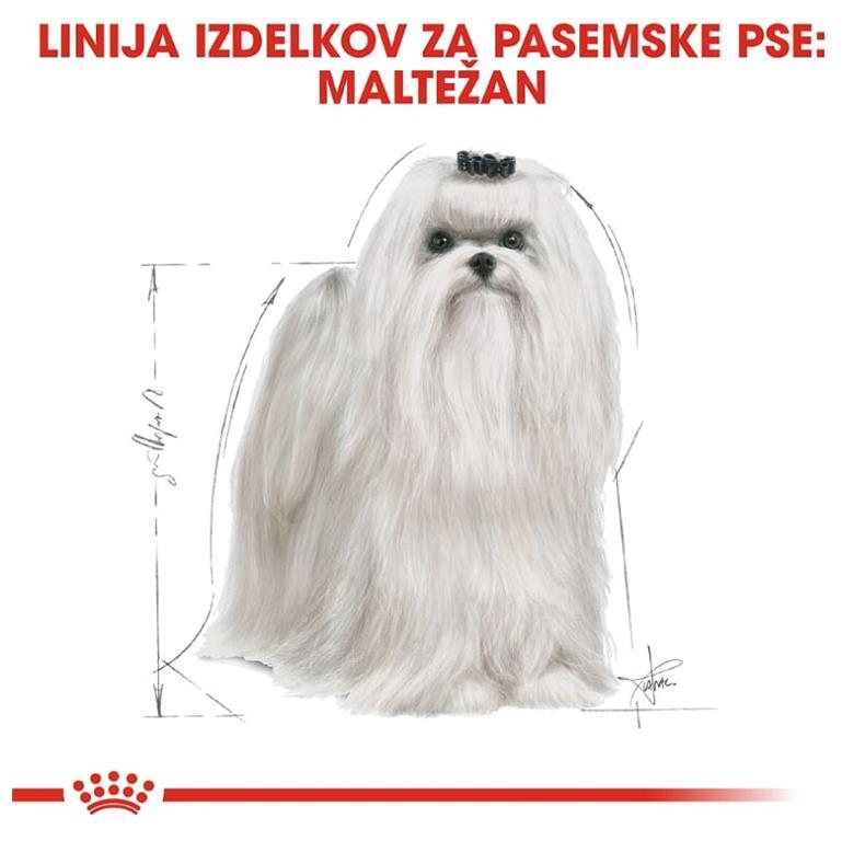 Royal Canin Maltežan