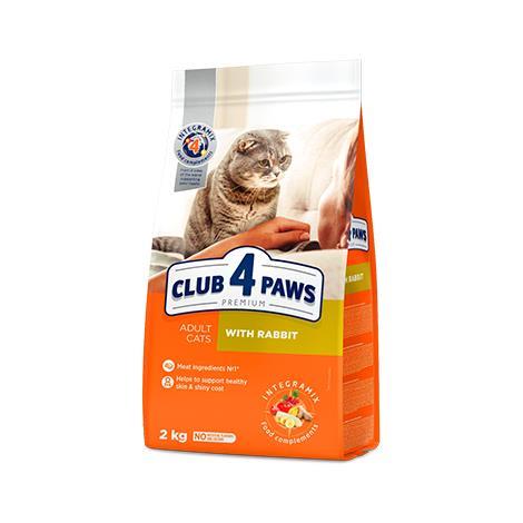 CLUB 4 PAWS s KUNCEM