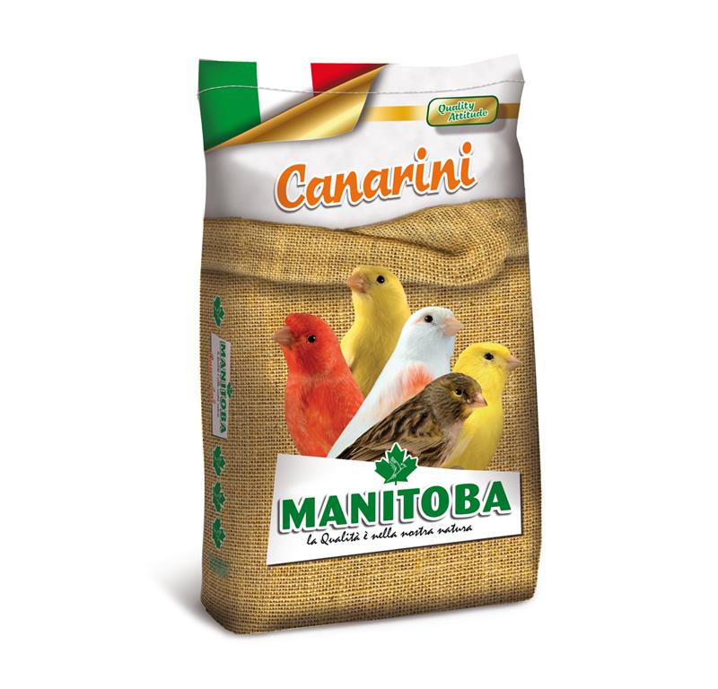 Manitoba KANARČKI T1 z biskvitom