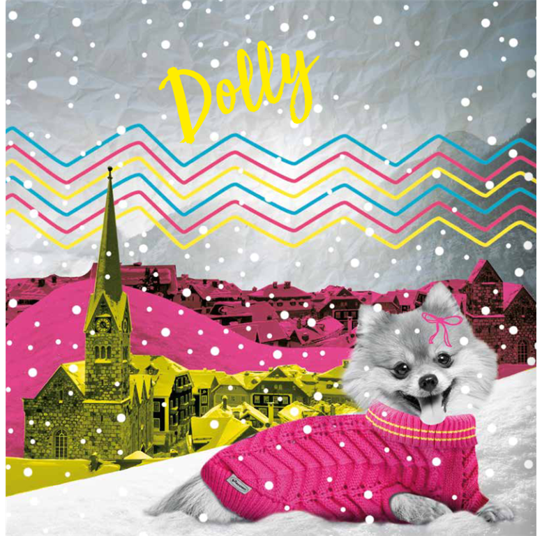 RECORD PULOVER DOLLY ROZA