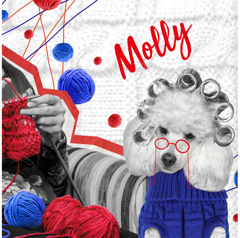 RECORD PULOVER MOLLY MODER