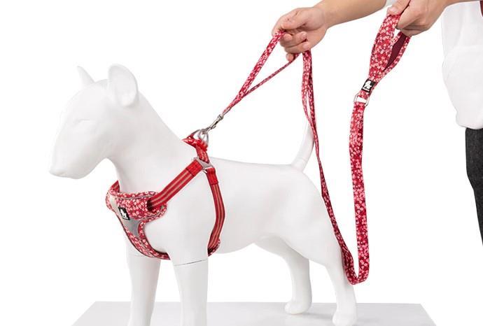 TRUELOVE Povodec - POPPY RED