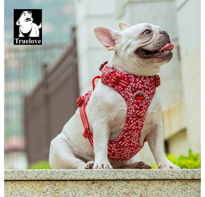 Truelove Oprsnica LED Floral - POPPY RED