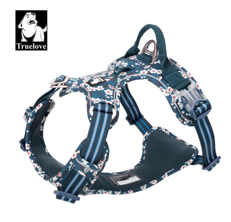 Truelove Oprsnica LED Floral – SAXONY