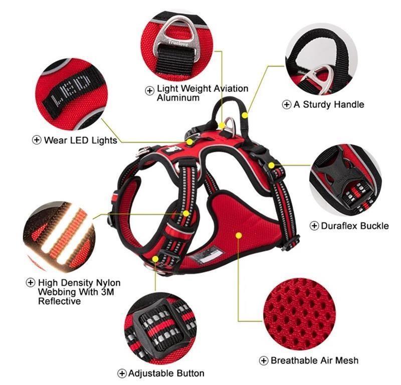 Truelove Oprsnica LED – VIJOLA