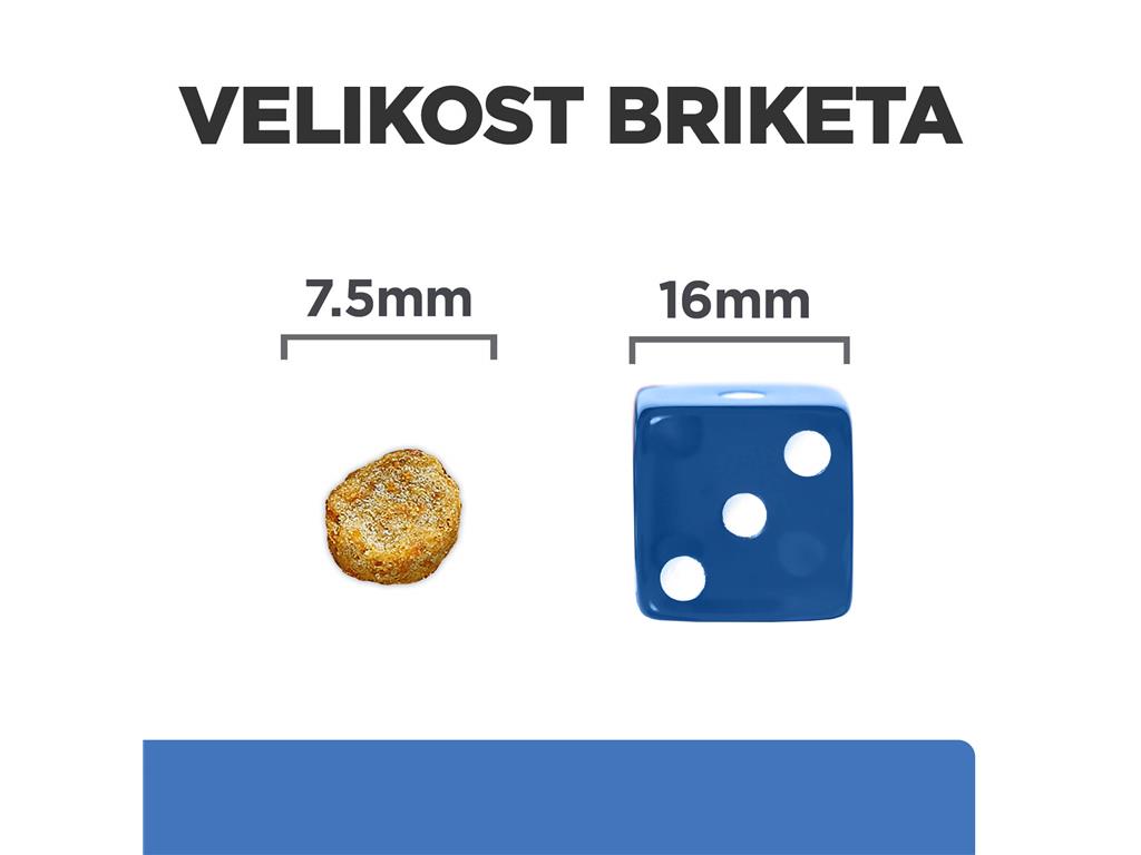 HILLS DERM COMPLETE MINI 1KG