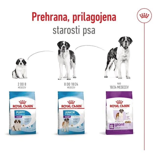 Royal Canin GIANT ADULT 15kg