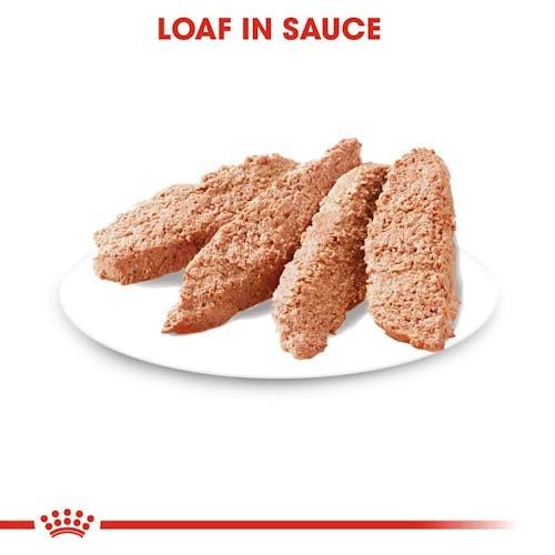 Royal Canin Coat Care 85g