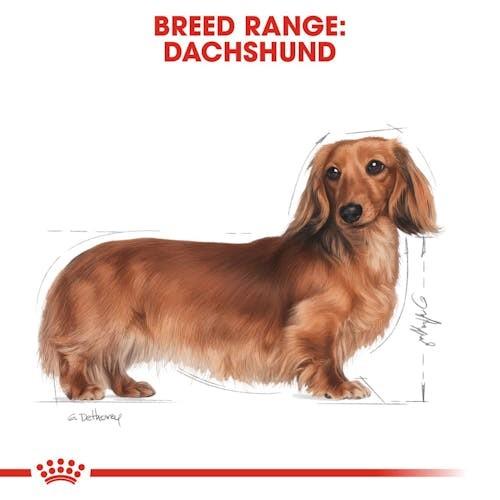Royal Canin Dachshund Adult 1,5kg
