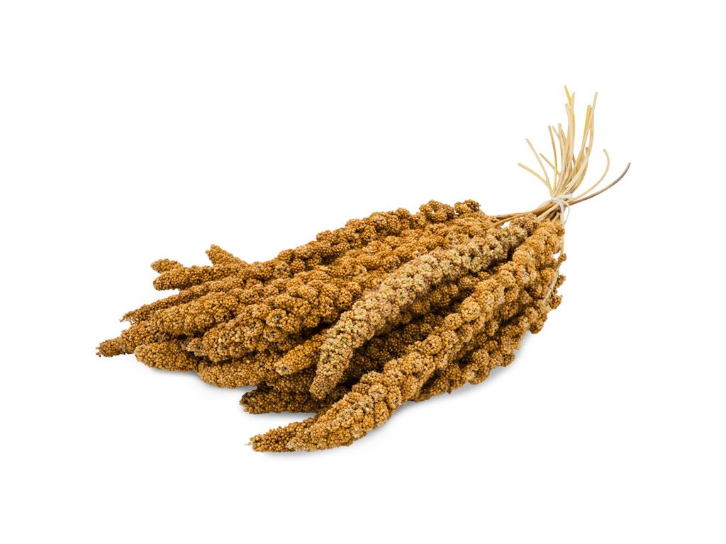 JR BAR V KLASJU RUMEN 500G