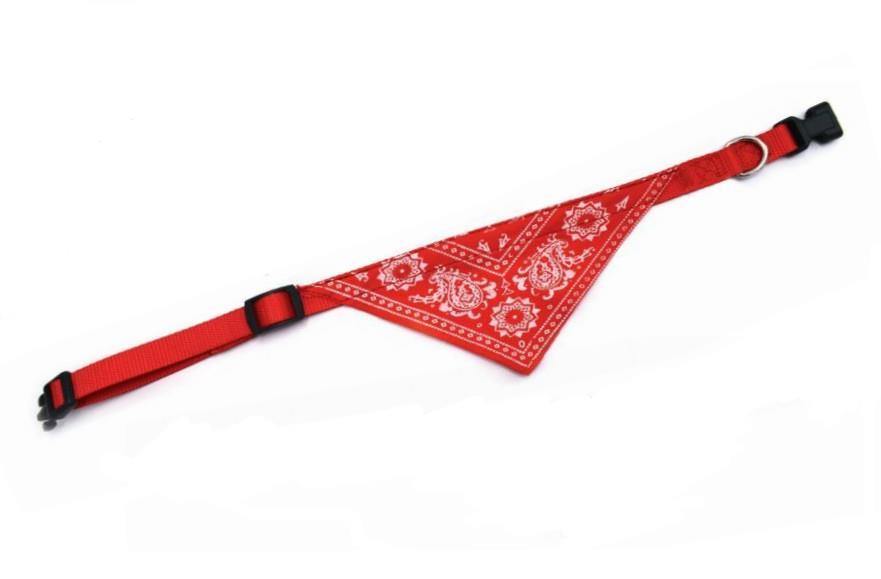 RECORD OVRATNICA Z RUTKO RDEČA XL