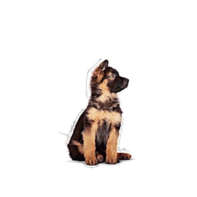Royal Canin PUPPY - MAXI 140g