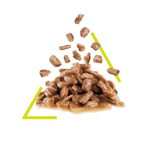 Royal Canin SENSORY SMELL, 85g