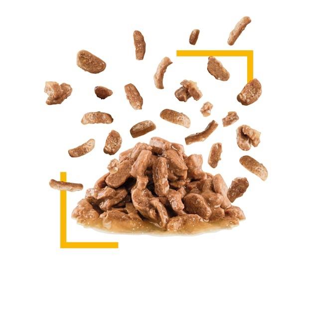 Royal Canin SENSORY TASTE, 85g