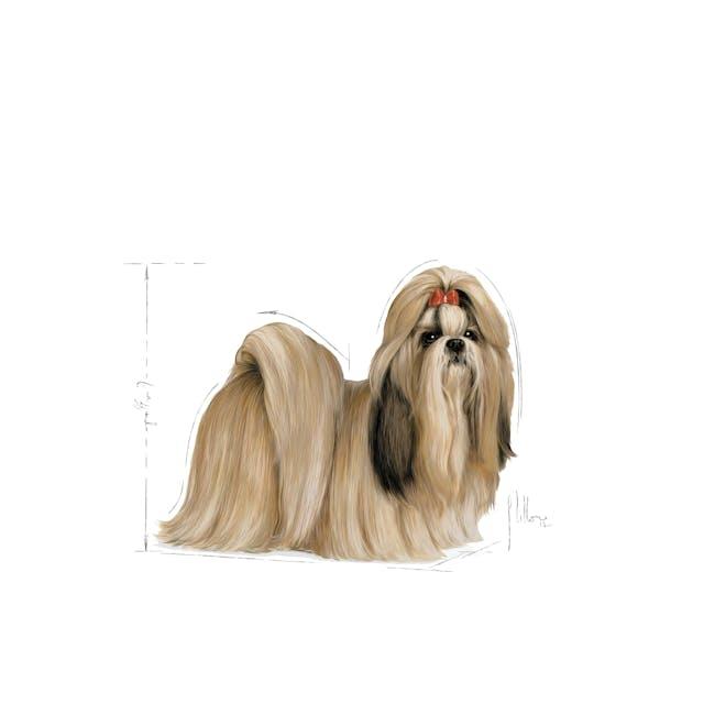 Royal Canin Shih Tzu, 85g