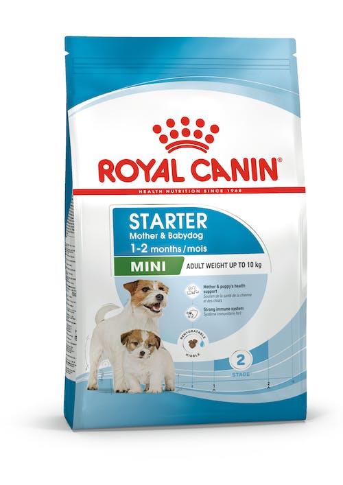 ROYAL CANIN STARTER Mother& Baby Dog - MINI, 4kg