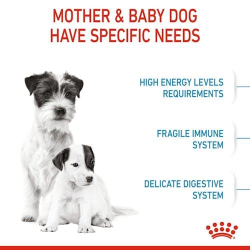 ROYAL CANIN STARTER Mother& Baby Dog - MINI, 4kg