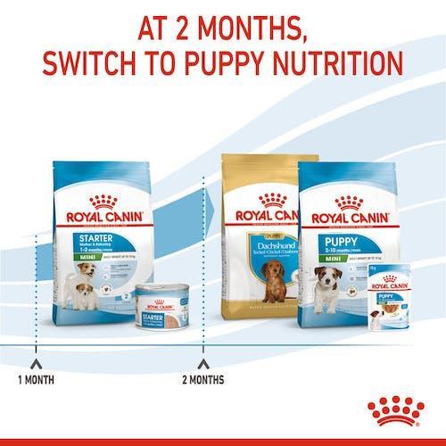ROYAL CANIN STARTER Mother& Baby Dog - MINI, 4kg