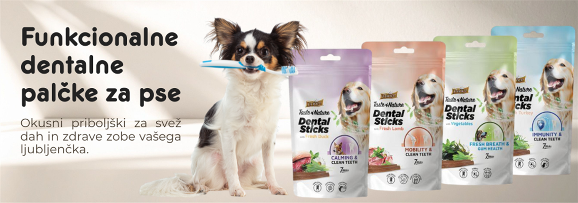 Prince Dental Sticks