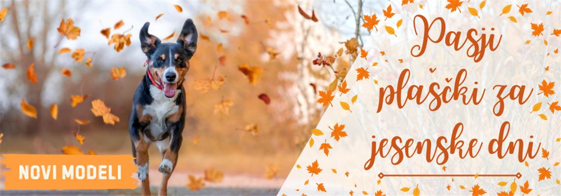 Jesenski plaščki 25
