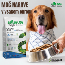 Alleva