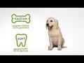 Whimzees Stix Puppy XS/S, 28 kosov (210 g) Whimzees Stix Puppy XS/S, 28 kosov (210 g)