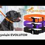 POVODEC EVOLUTOR COLLAR ORANŽEN POVODEC EVOLUTOR COLLAR ORANŽEN